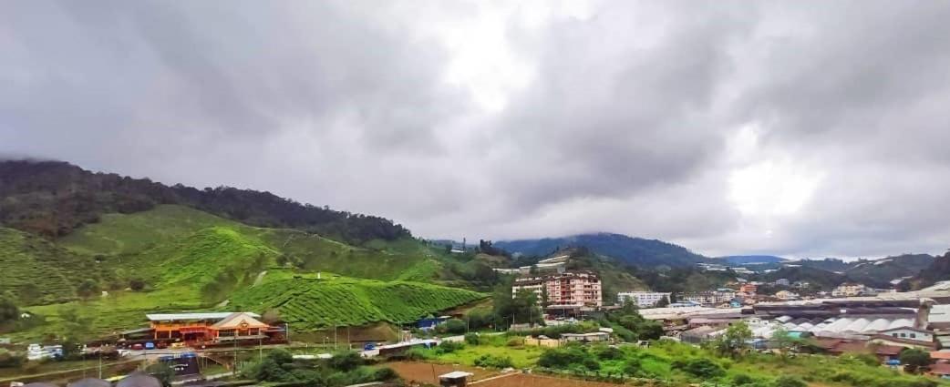 Gorgeous Sunset & Tea Plantation View-Premium Hotel Bed Kampung Kuala Terla Екстер'єр фото