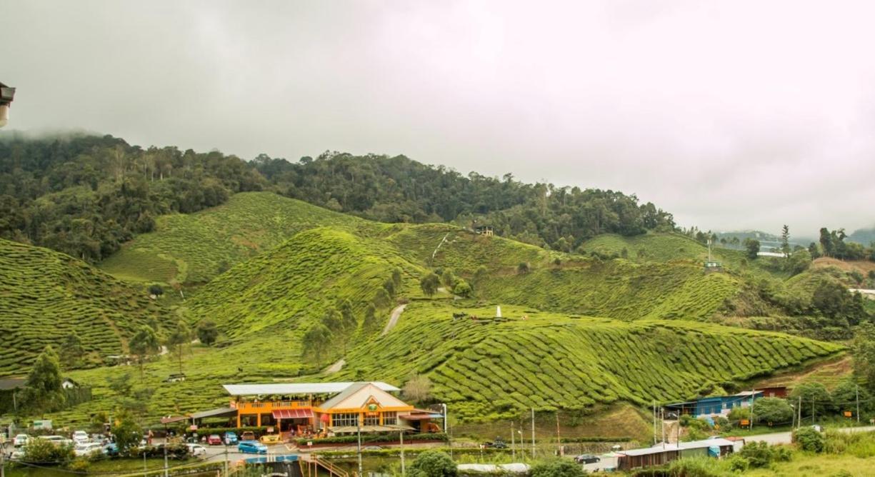 Gorgeous Sunset & Tea Plantation View-Premium Hotel Bed Kampung Kuala Terla Екстер'єр фото